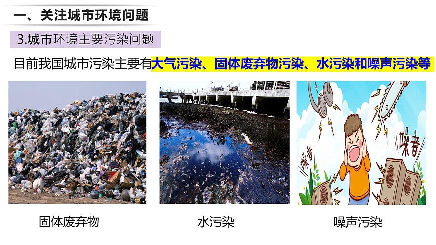 24.3 关注城市环境 2025学年八年级生物下册同步教学课件（北师大版）第8页
