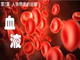 4.7.1 血液 2025學(xué)年七年級(jí)生物下學(xué)期（北師大版2024）課件
