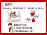 4.7.1 血液 2025學(xué)年七年級(jí)生物下學(xué)期（北師大版2024）課件