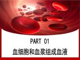 4.7.1 血液 2025學(xué)年七年級(jí)生物下學(xué)期（北師大版2024）課件