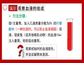 4.7.1 血液 2025學(xué)年七年級(jí)生物下學(xué)期（北師大版2024）課件