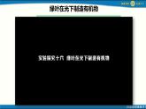 人教版初中生物七下第三單元第二章第二節(jié) 《光合作用》 PPT課件