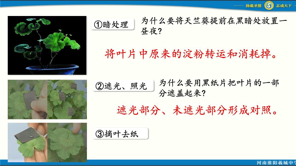 人教版初中生物七下第三单元第二章第二节 《光合作用》 PPT课件第5页