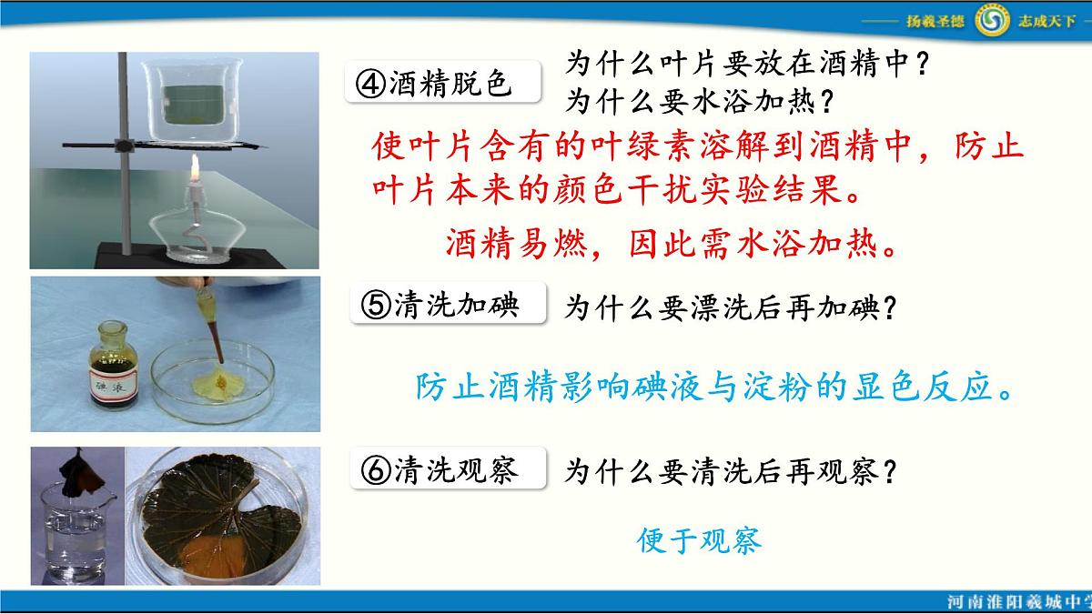 人教版初中生物七下第三单元第二章第二节 《光合作用》 PPT课件第6页