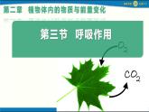 人教版初中生物七下第三單元第二章第三節(jié) 《呼吸作用》 PPT課件