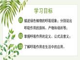 3.2.3 呼吸作用 2025學(xué)年七年級生物下學(xué)期同步精美課件（人教版2024）