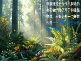 3.2.3 呼吸作用 2025學(xué)年七年級生物下學(xué)期同步精美課件（人教版2024）