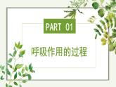 3.2.3 呼吸作用 2025學(xué)年七年級生物下學(xué)期同步精美課件（人教版2024）