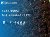3.2.3 呼吸作用 2025學(xué)年七年級下冊生物同步高效優(yōu)質(zhì)課件（人教版2024）
