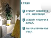 3.2.3 呼吸作用 2025學(xué)年七年級下冊生物同步高效優(yōu)質(zhì)課件（人教版2024）