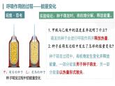 3.2.3 呼吸作用 2025學(xué)年七年級下冊生物同步高效優(yōu)質(zhì)課件（人教版2024）