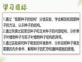 3.2.3 種子萌發(fā)需要適宜的條件 2025學(xué)年濟(jì)南版生物七年級下冊 課件