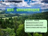 3.2.4 植物在自然界中的作用 2025學(xué)年人教版生物七年級下冊 課件