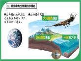 3.2.4 植物在自然界中的作用 2025學(xué)年人教版生物七年級下冊 課件
