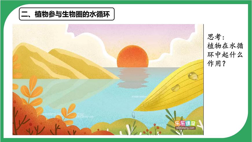 3.2.4 植物在自然界中的作用 2025学年人教版生物七年级下册 课件第5页