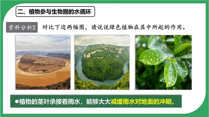 3.2.4 植物在自然界中的作用 2025学年人教版生物七年级下册 课件第7页