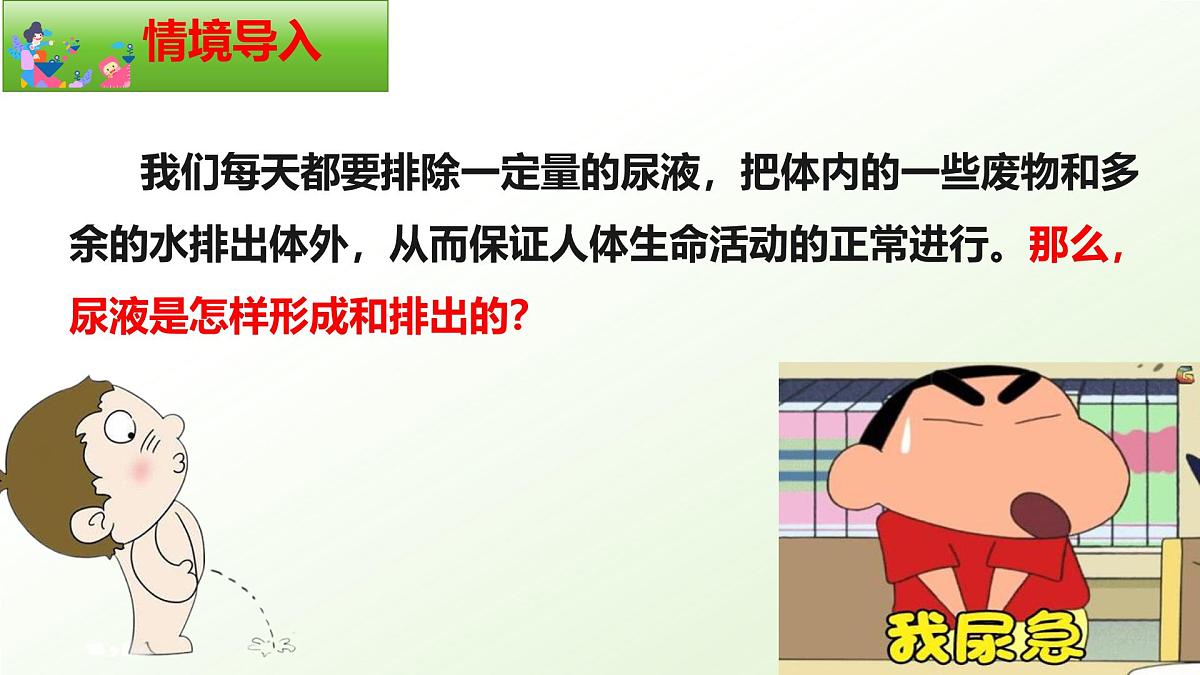 3.4.2 尿液的形成和排出 2025学年七年级生物下册（冀少版2024）课件第2页
