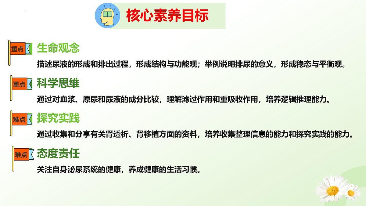 3.4.2 尿液的形成和排出 2025学年七年级生物下册（冀少版2024）课件第3页