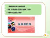 3.4.2 尿液的形成和排出 2025學(xué)年七年級(jí)生物下冊(cè)（冀少版2024）課件