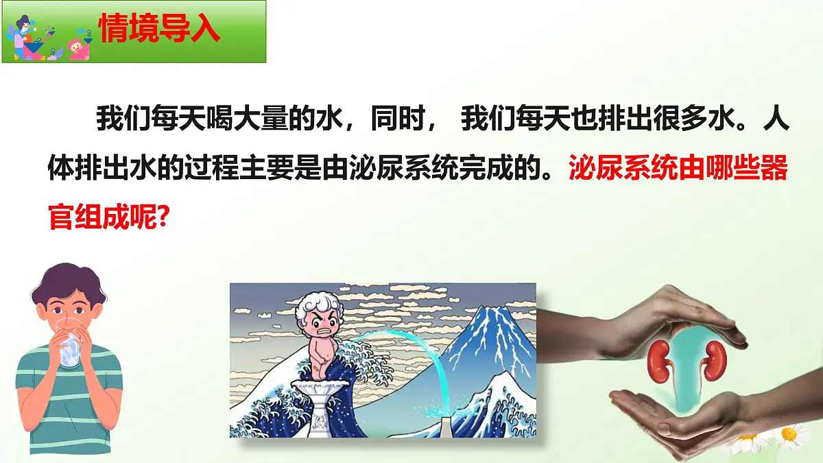 3.4.1 泌尿系统的组成 2025学年七年级生物下册（冀少版2024）课件第3页