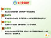 3.4.1 泌尿系統(tǒng)的組成 2025學(xué)年七年級生物下冊（冀少版2024）課件