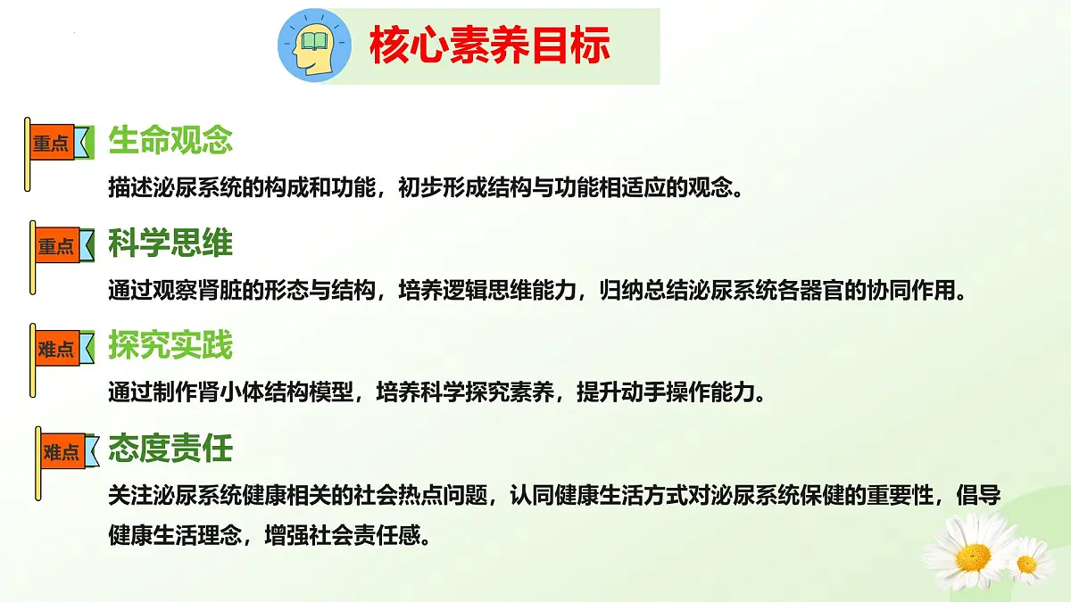3.4.1 泌尿系统的组成 2025学年七年级生物下册（冀少版2024）课件第4页