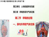 3.3.2 呼吸的過程（一、肺與外界的氣體交換）2025學(xué)年七年級(jí)生物下冊（冀少版2024）課件