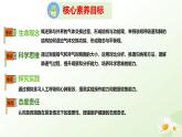 3.3.2 呼吸的過程（一、肺與外界的氣體交換）2025學(xué)年七年級(jí)生物下冊（冀少版2024）課件