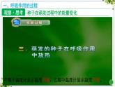 3.2.3 呼吸作用 課件 2025學(xué)年人教版生物學(xué)七年級下冊
