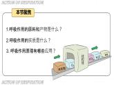 3.2.3 呼吸作用 2025學(xué)年人教版生物七年級課件