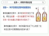 3.2.3 呼吸作用 2025學(xué)年人教版生物七年級課件