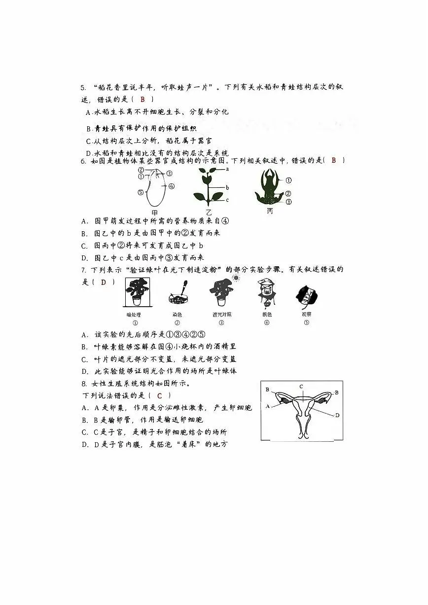 2024-2025学年八年级生物下册第一次月考试卷+答案（高清版）第2页