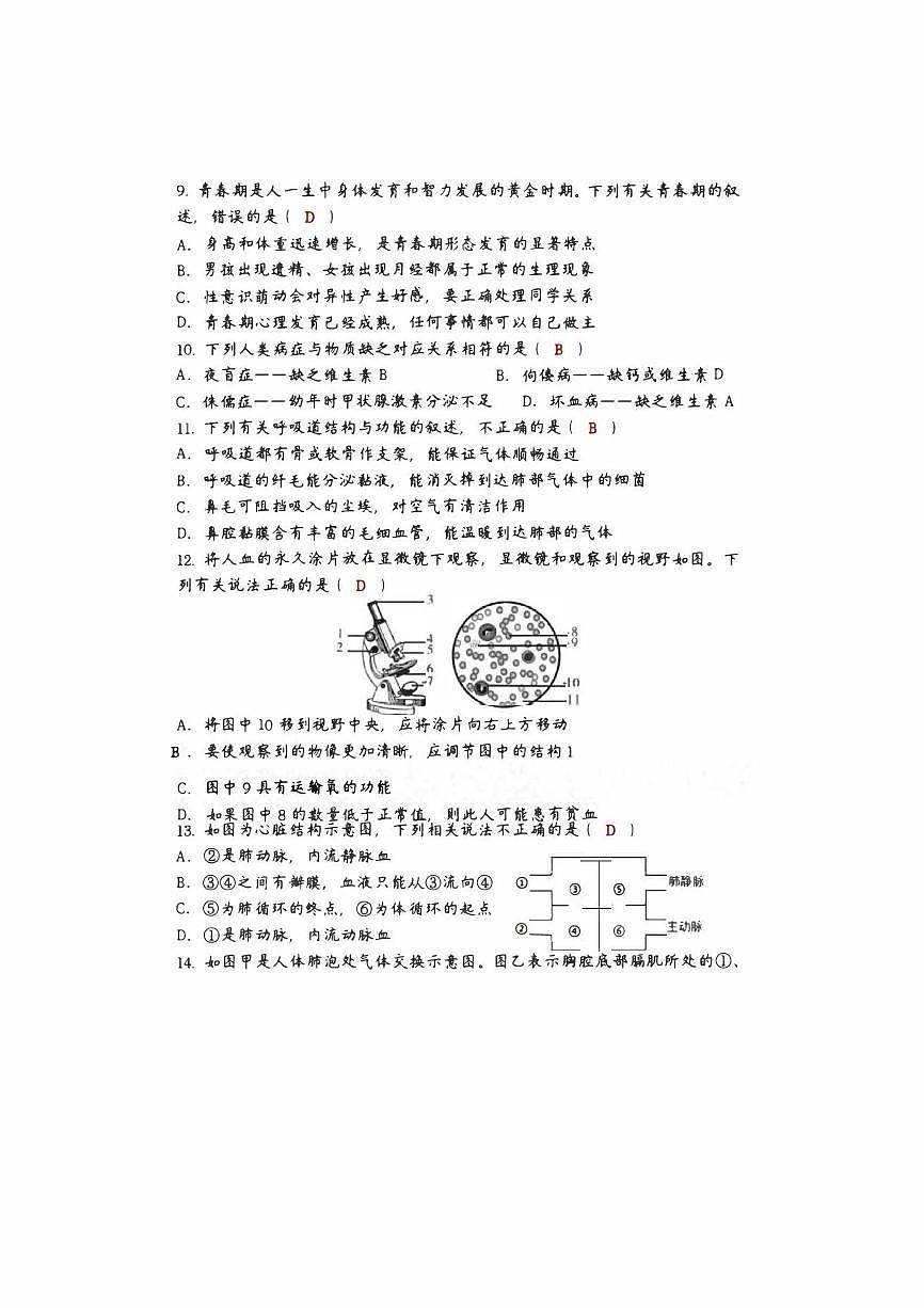 2024-2025学年八年级生物下册第一次月考试卷+答案（高清版）第3页