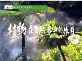 3.2.4 植物在自然界的作用 2025學(xué)年人教版生物七年級下冊任務(wù)式教學(xué)優(yōu)質(zhì)課件