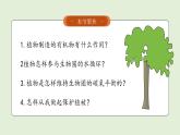 3.2.4 植物在自然界的作用 2025學(xué)年人教版生物七年級下冊任務(wù)式教學(xué)優(yōu)質(zhì)課件