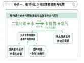 3.2.4 植物在自然界的作用 2025學(xué)年人教版生物七年級下冊任務(wù)式教學(xué)優(yōu)質(zhì)課件