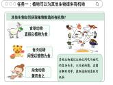 3.2.4 植物在自然界的作用 2025學(xué)年人教版生物七年級下冊任務(wù)式教學(xué)優(yōu)質(zhì)課件