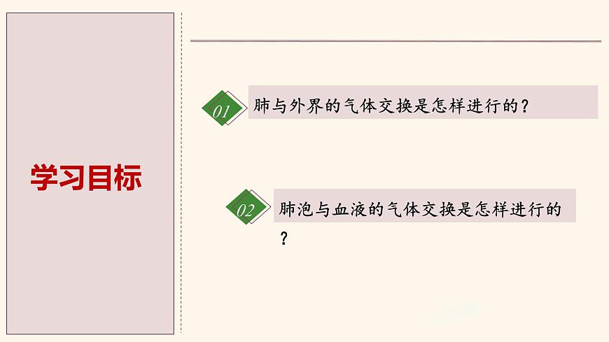 4.3.2 发生在肺内的气体交换 课件-2024-2025学年人教版生物七年级下册第2页