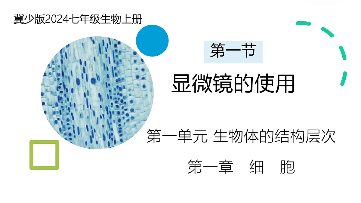 1.1.1 显微镜的使用 课件-2024-2025学年冀少版生物七年级上册第1页