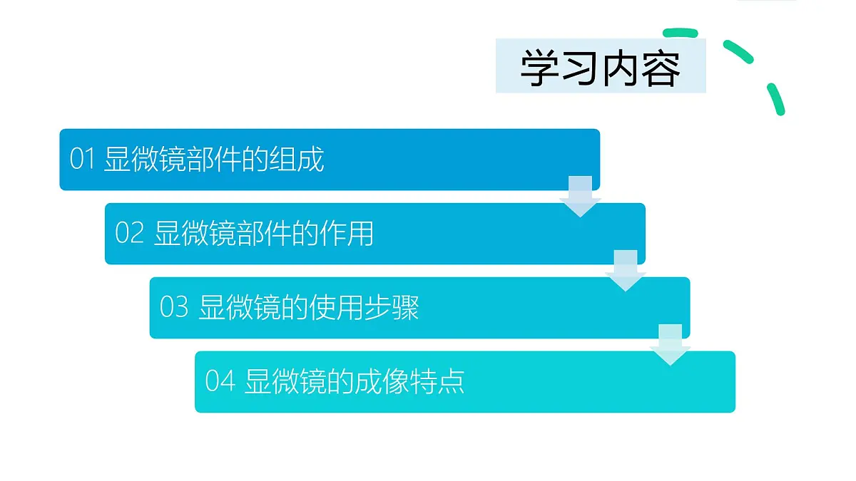 1.1.1 显微镜的使用 课件-2024-2025学年冀少版生物七年级上册第3页
