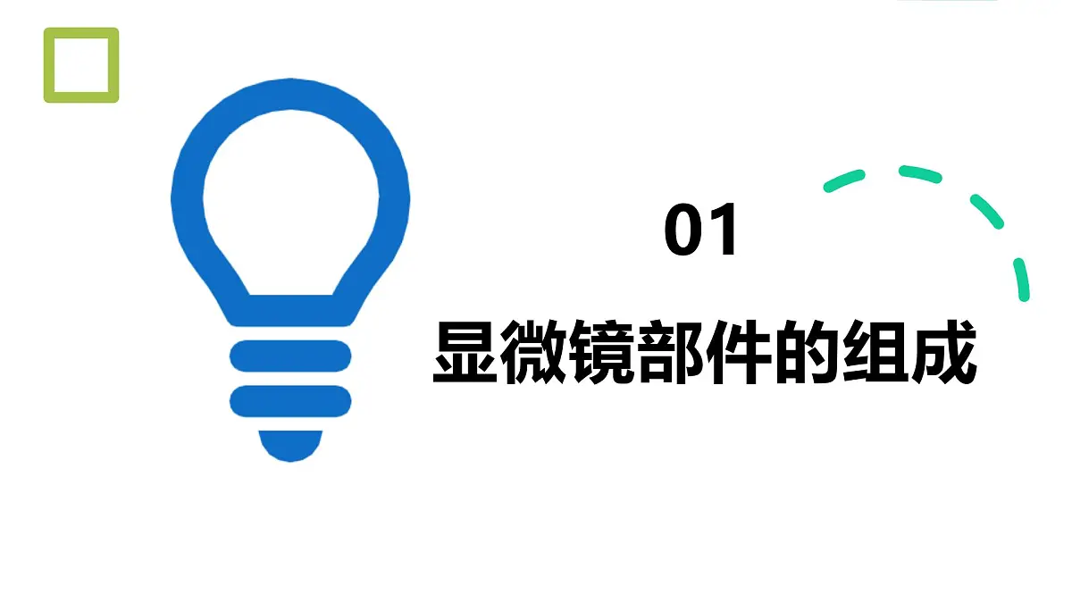 1.1.1 显微镜的使用 课件-2024-2025学年冀少版生物七年级上册第4页