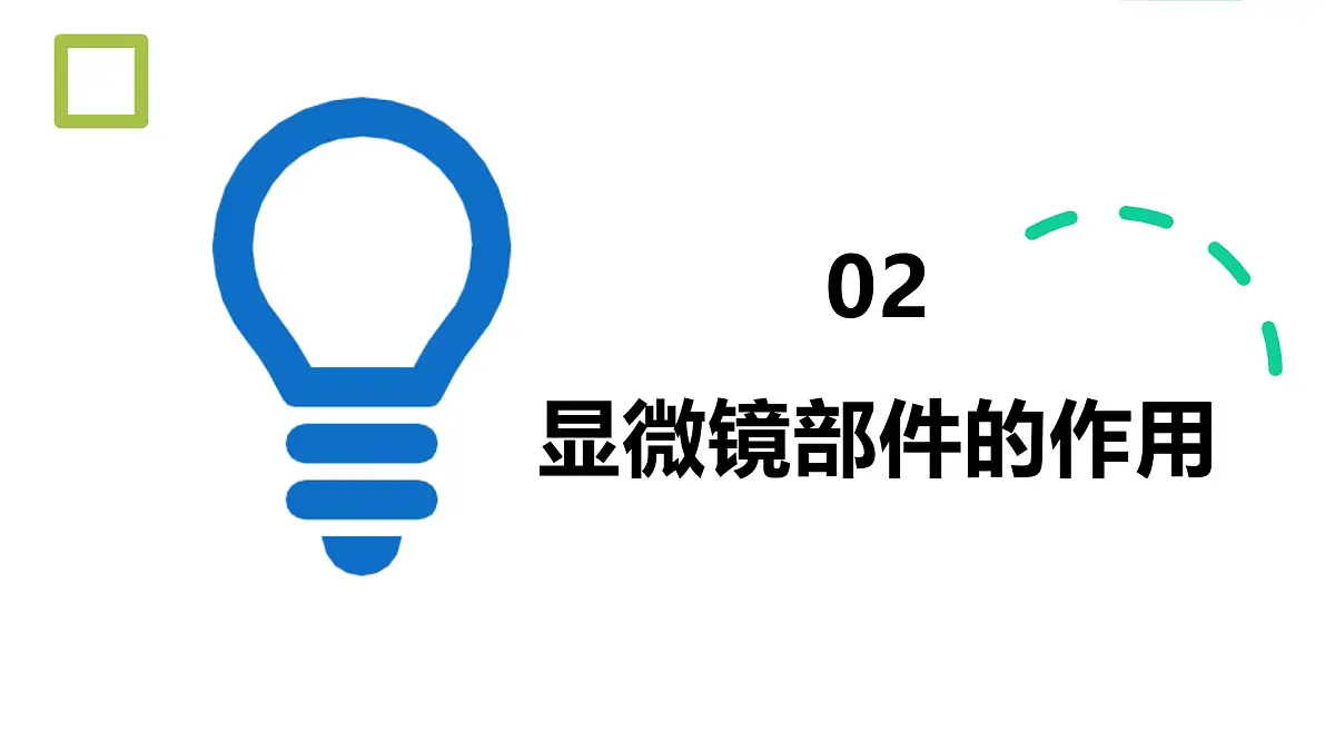 1.1.1 显微镜的使用 课件-2024-2025学年冀少版生物七年级上册第6页