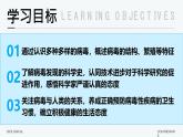2.3.4 病毒 课件 2025学年人教版生物七年级上册