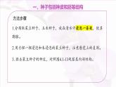 3.2.3 種子萌發(fā)需要適宜的條件 課件 2025學(xué)年濟(jì)南版生物七年級下冊