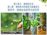 3.2.4 植物在自然界中的作用 課件 2025學(xué)年人教版生物七年級下冊 (2)