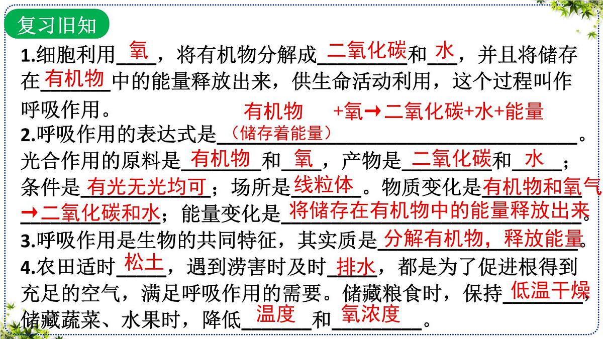 3.2.4 植物在自然界中的作用 课件 2025学年人教版生物七年级下册 (2)第2页
