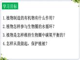 3.2.4 植物在自然界中的作用 課件 2025學(xué)年人教版生物七年級下冊 (2)