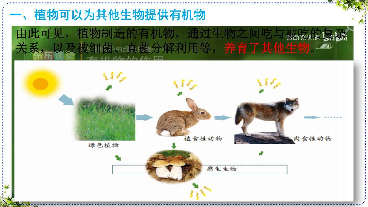 3.2.4 植物在自然界中的作用 课件 2025学年人教版生物七年级下册 (2)第7页