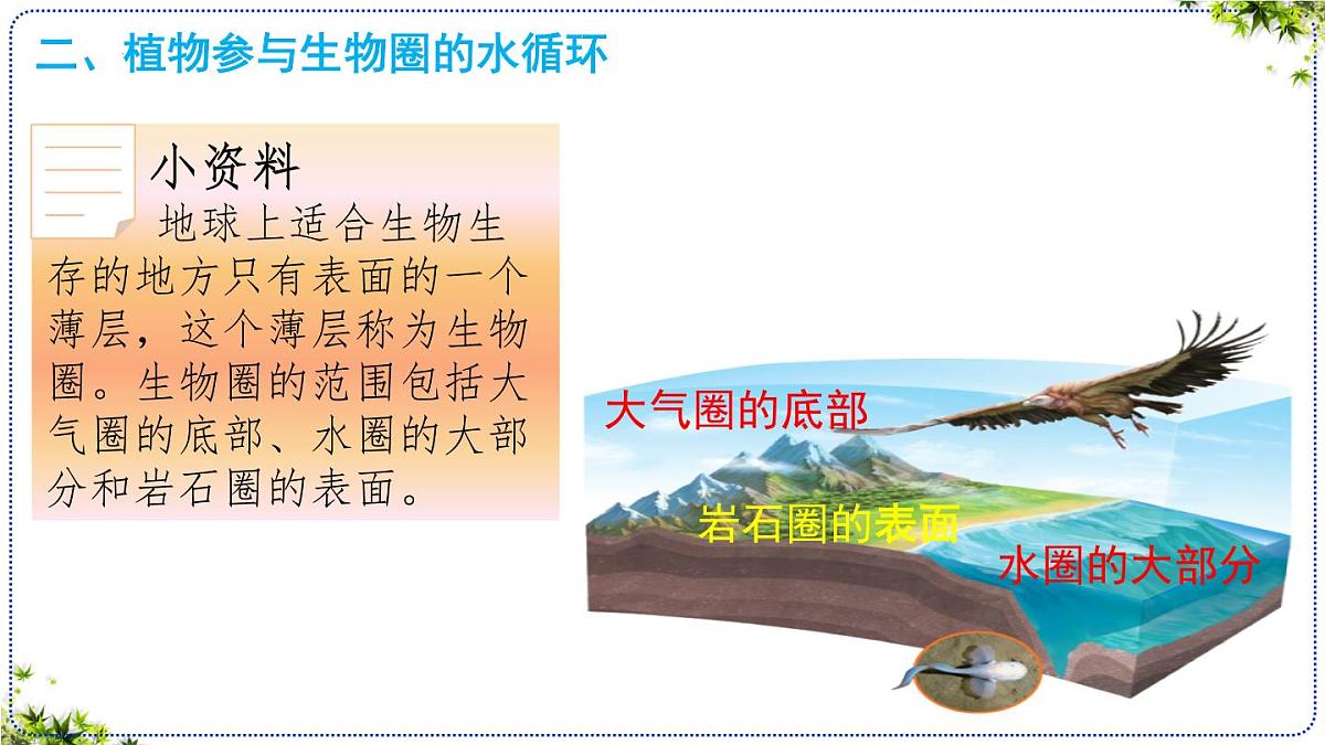 3.2.4 植物在自然界中的作用 课件 2025学年人教版生物七年级下册 (2)第8页
