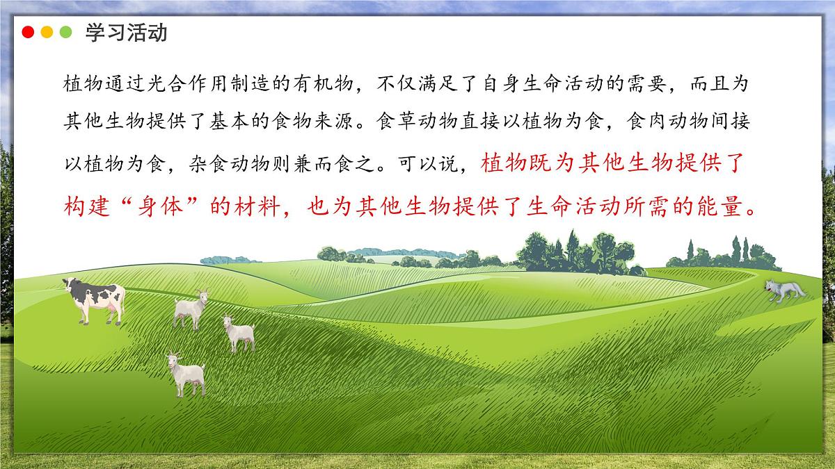 3.2.4 植物在自然界中的作用课件 2025学年人教版初中生物七年级下册第5页